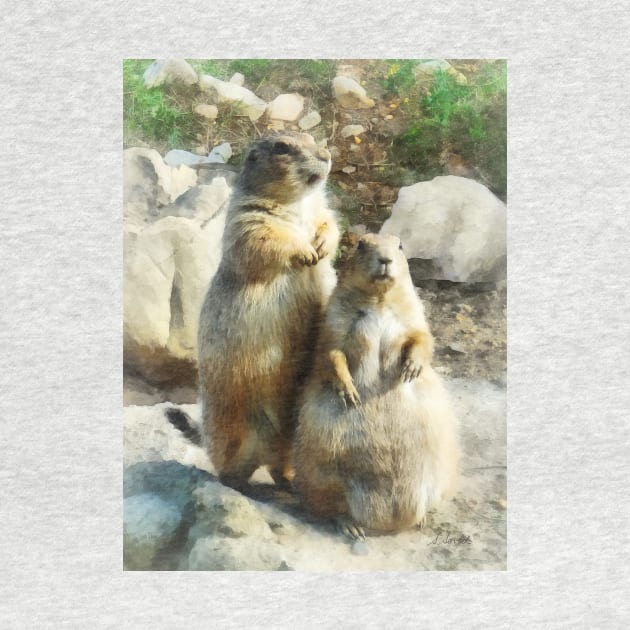 Prairie Dog Formal Portraits by SusanSavad